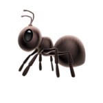 ant
